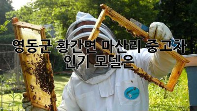 영동군 황간면 마산리 중고차 인기 모델은?